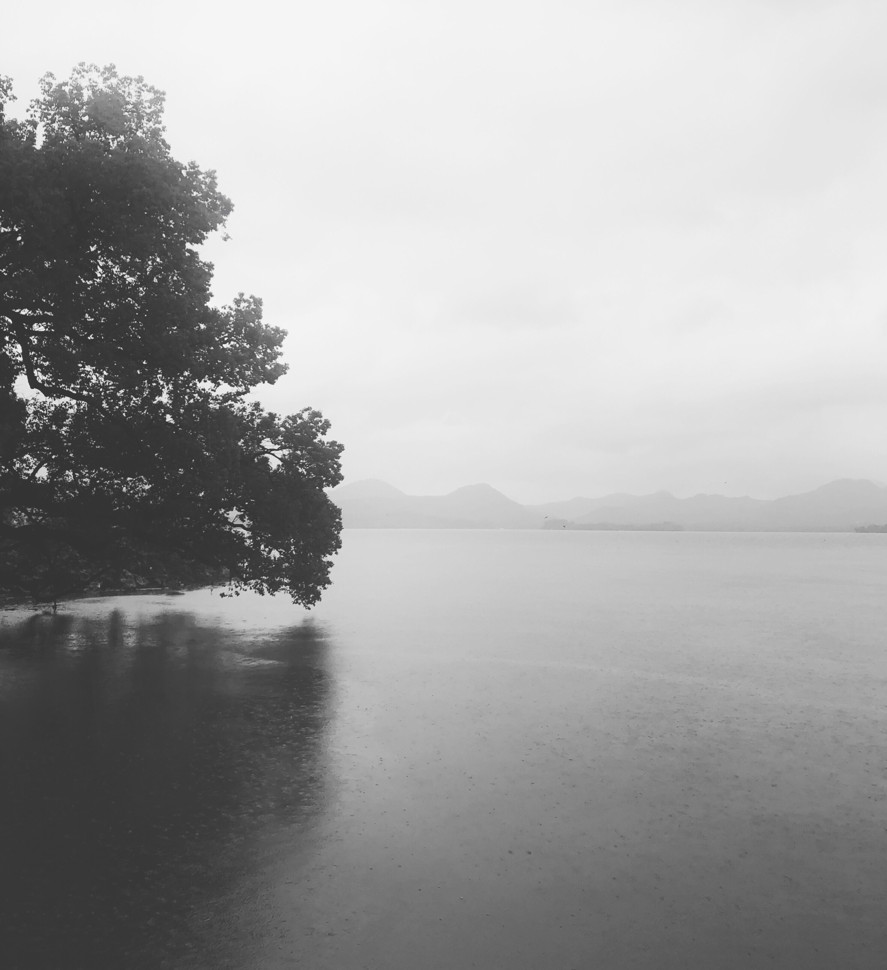 West Lake, Rain | 2019.08 at West Lake, Hangzhou, China